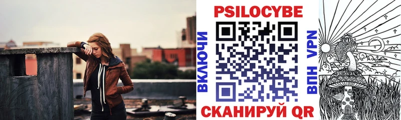 Псилоцибиновые грибы Psilocybe  Купить где  Новоржев 